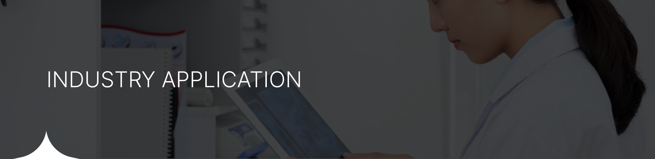 INDUSTRY APPLICATION Banner